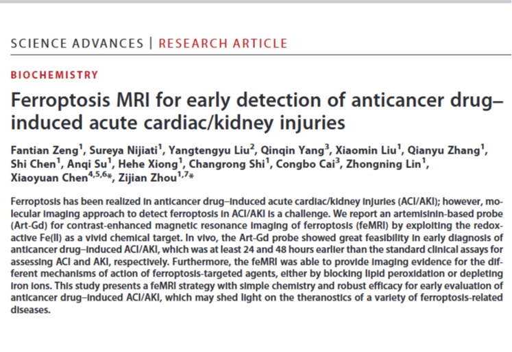 Zijian Zhou：Ferroptosis MRI for early detection of anticancer drug-induced acute cardiac/kidney injuries.